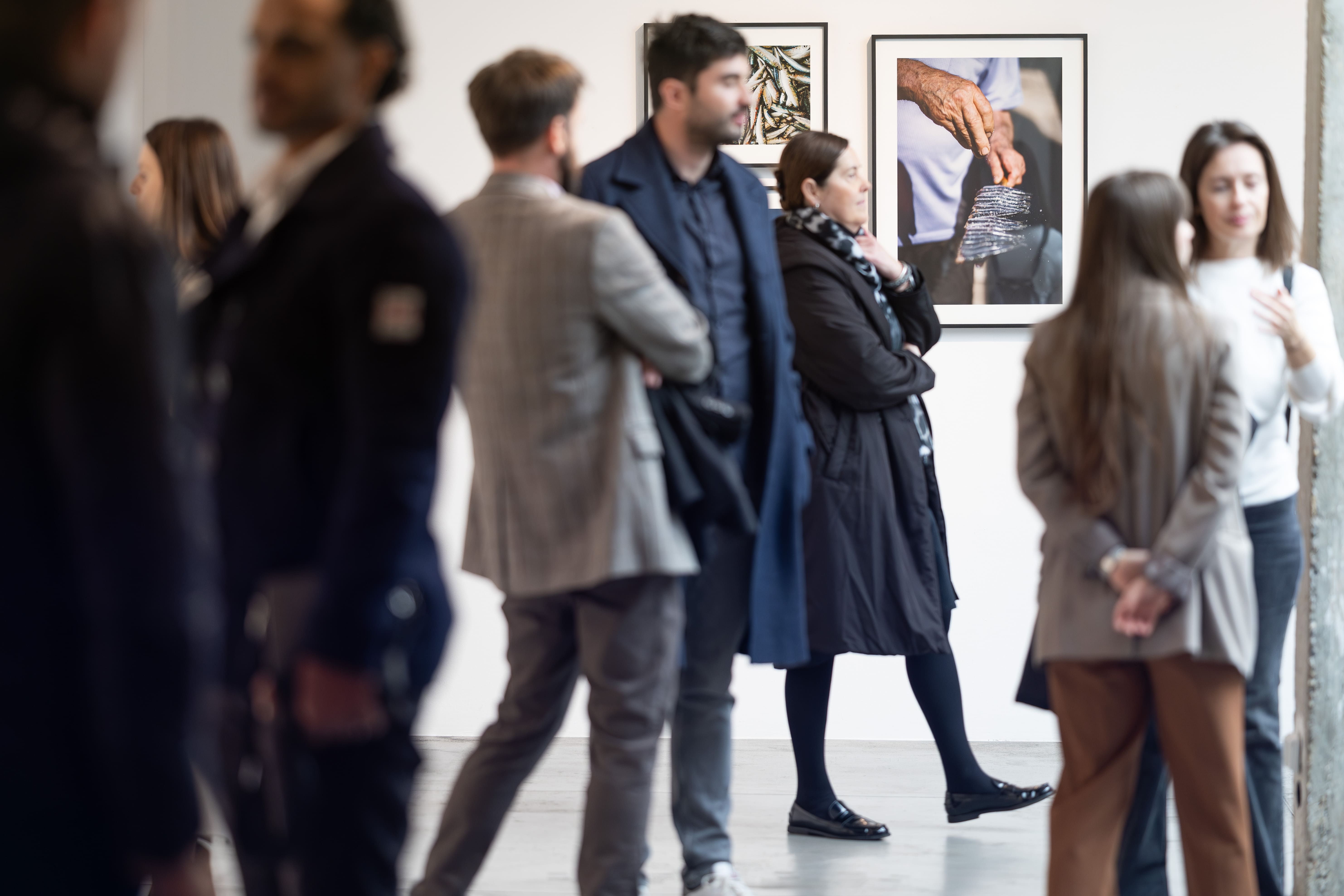 Fotogalerije