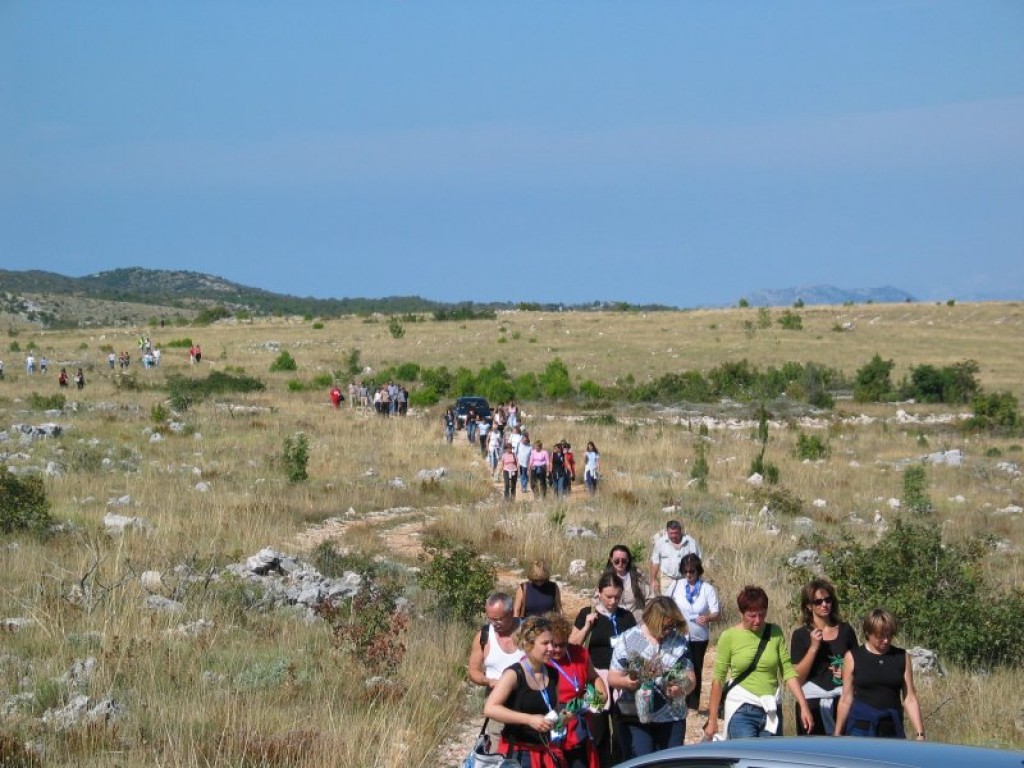 Fotogalerije